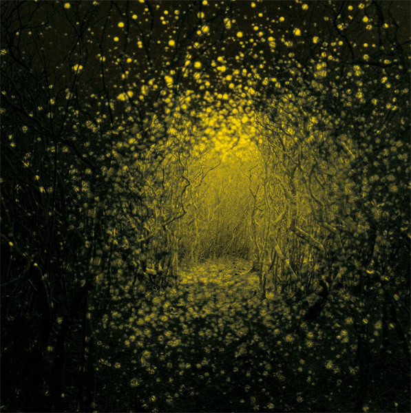 The Antlers: Burst Apart (2011)